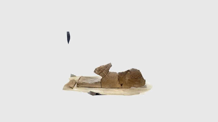 Ostotheque Kashkadarya 3D Model
