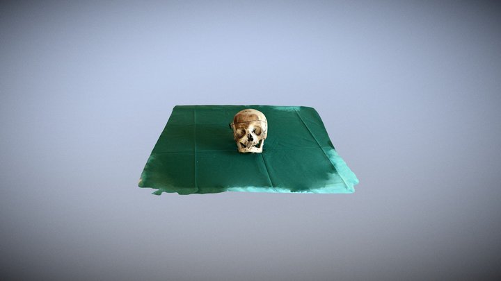 ferrara 479 3D Model