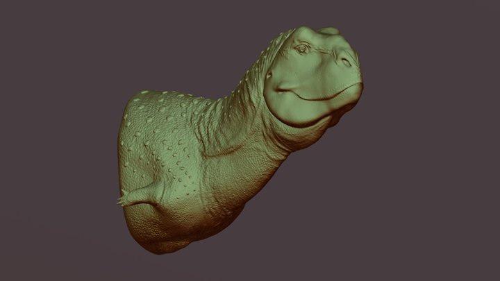 Pycnonemosarus nevesi Bust 3D Model