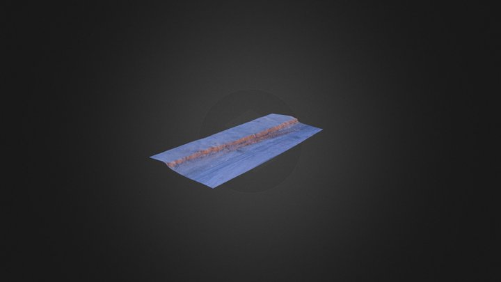 Natural Beach Scarp OJB3 3D Model