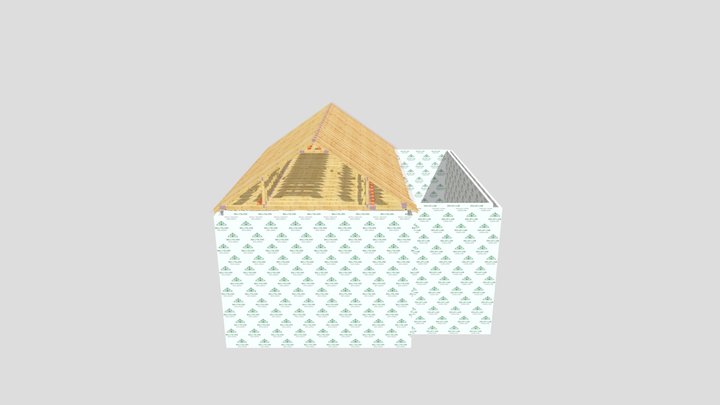 Extension Roof - PL Construction