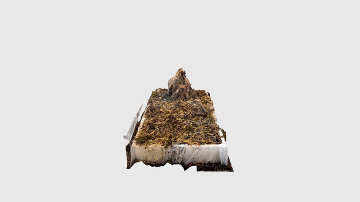 goat head 16.8 3D Model