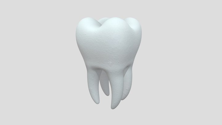 Tooth 3D Model