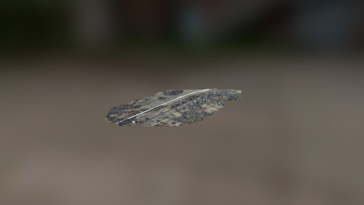 Baktói kiskert 3D Model