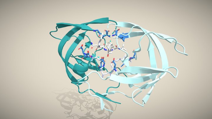 HIV-protease with Saqunivar 3D Model