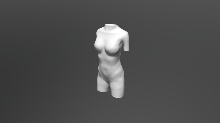 Female Torso 3D Model