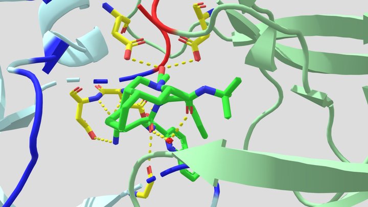 HIV Protease and Saquinavir 3D Model