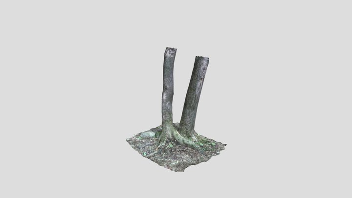 Tree3 3D Model