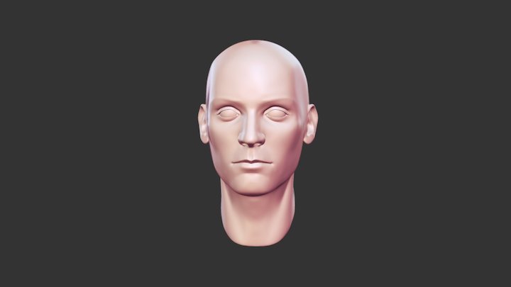 Head 07 3D Model