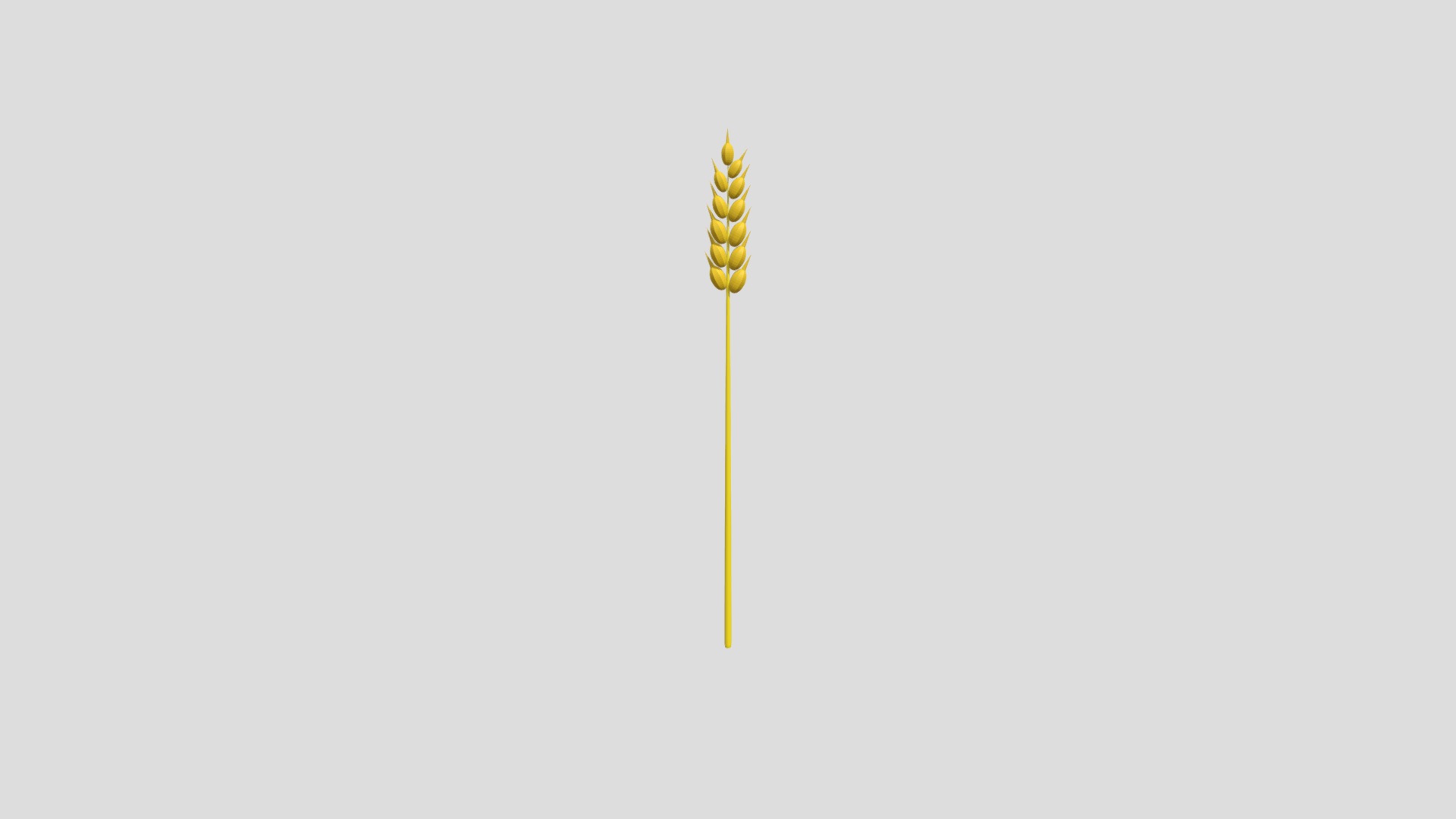 3D model Wheat - This is a 3D model of the Wheat. The 3D model is about shape.