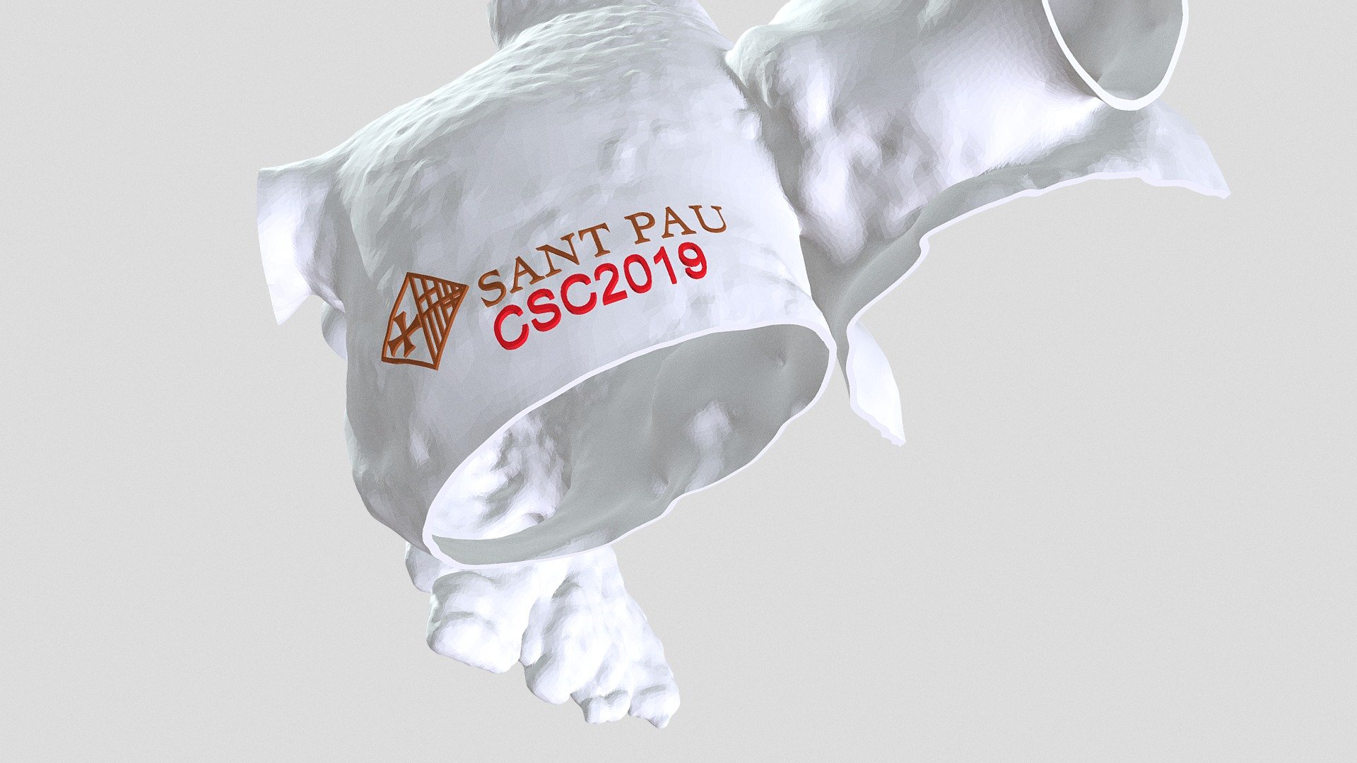 Both atria CSC2019