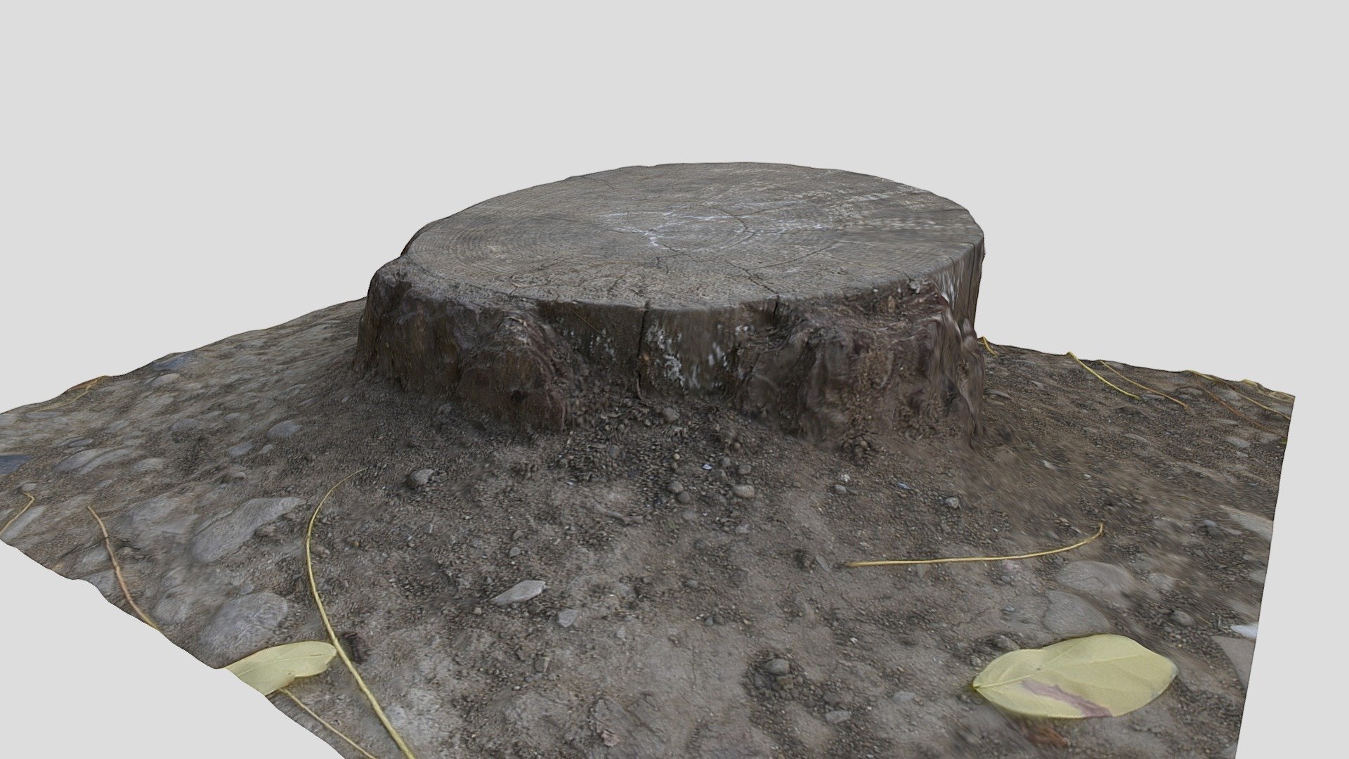 Stump 6 - Download Free 3D model by sv.stats [ad73888] - Sketchfab