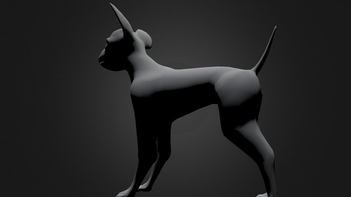chihuahua 3D Model