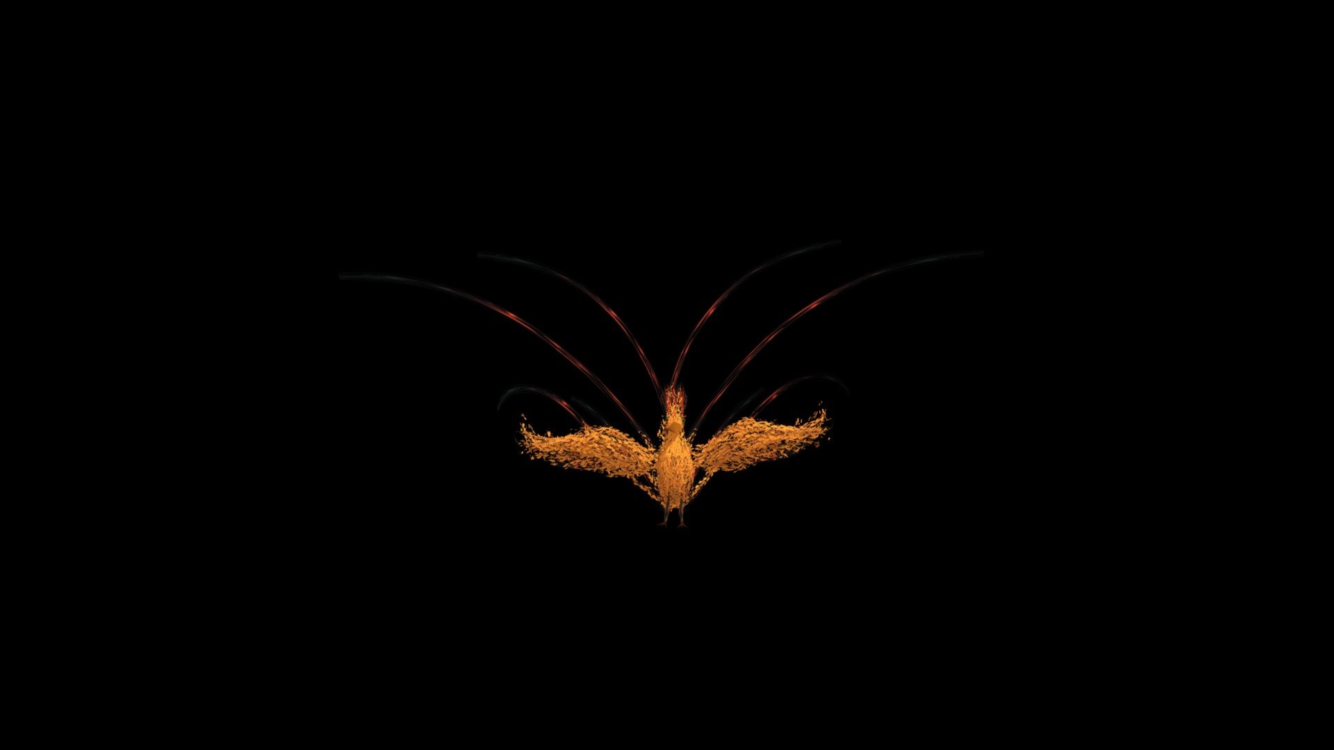 Phoenix draft