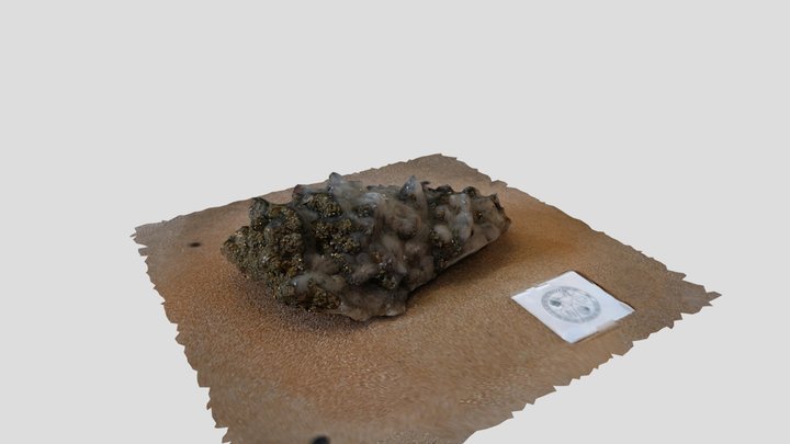 Quarzo con cristalli di calcopirite 3D Model
