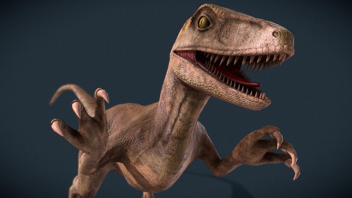 Dinosaur - Velociraptor 3D Model
