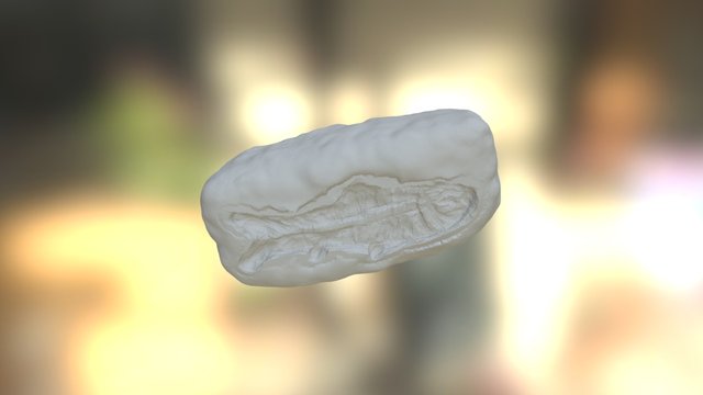 Fish Fossil High Poly 3D Model