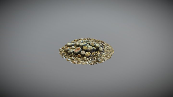 Lithops video photogrammetry test 3D Model
