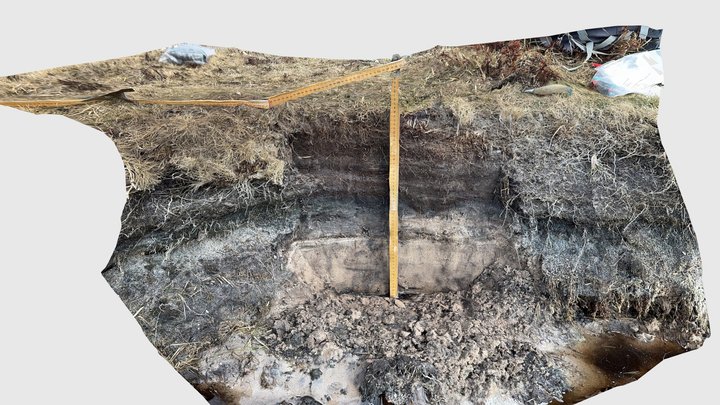 Skanörs Ljung 1110 – Free 3D Model STL