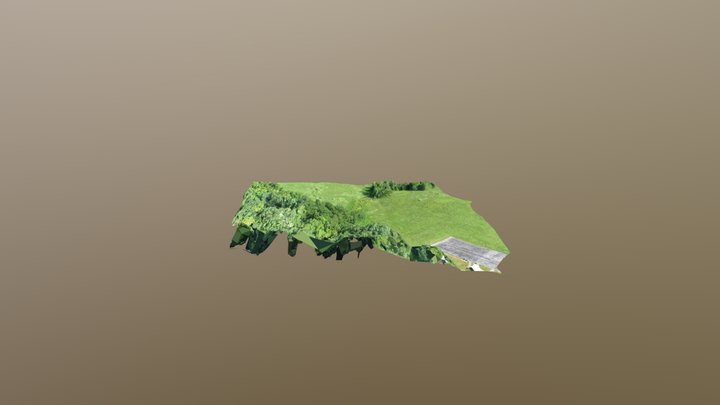 2019-07-28 - Cane Ridge 1 3D Model