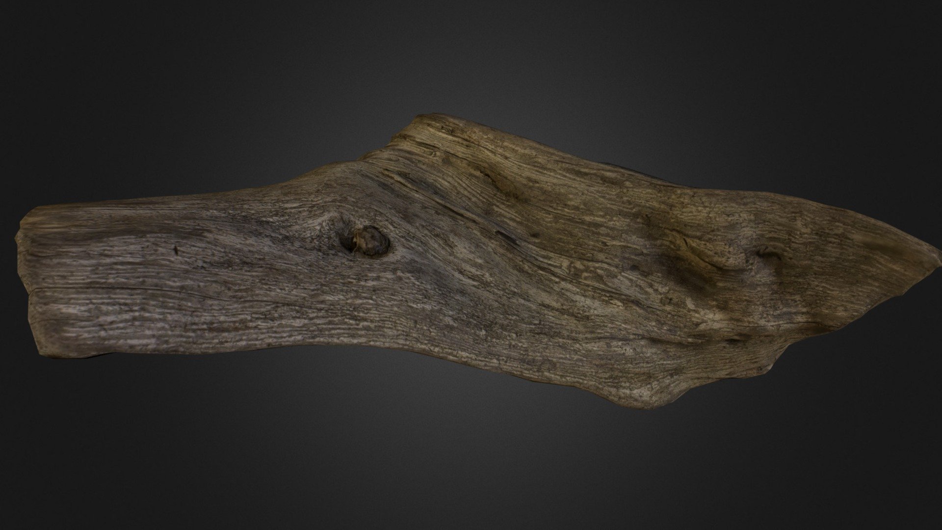 Ancient Driftwood