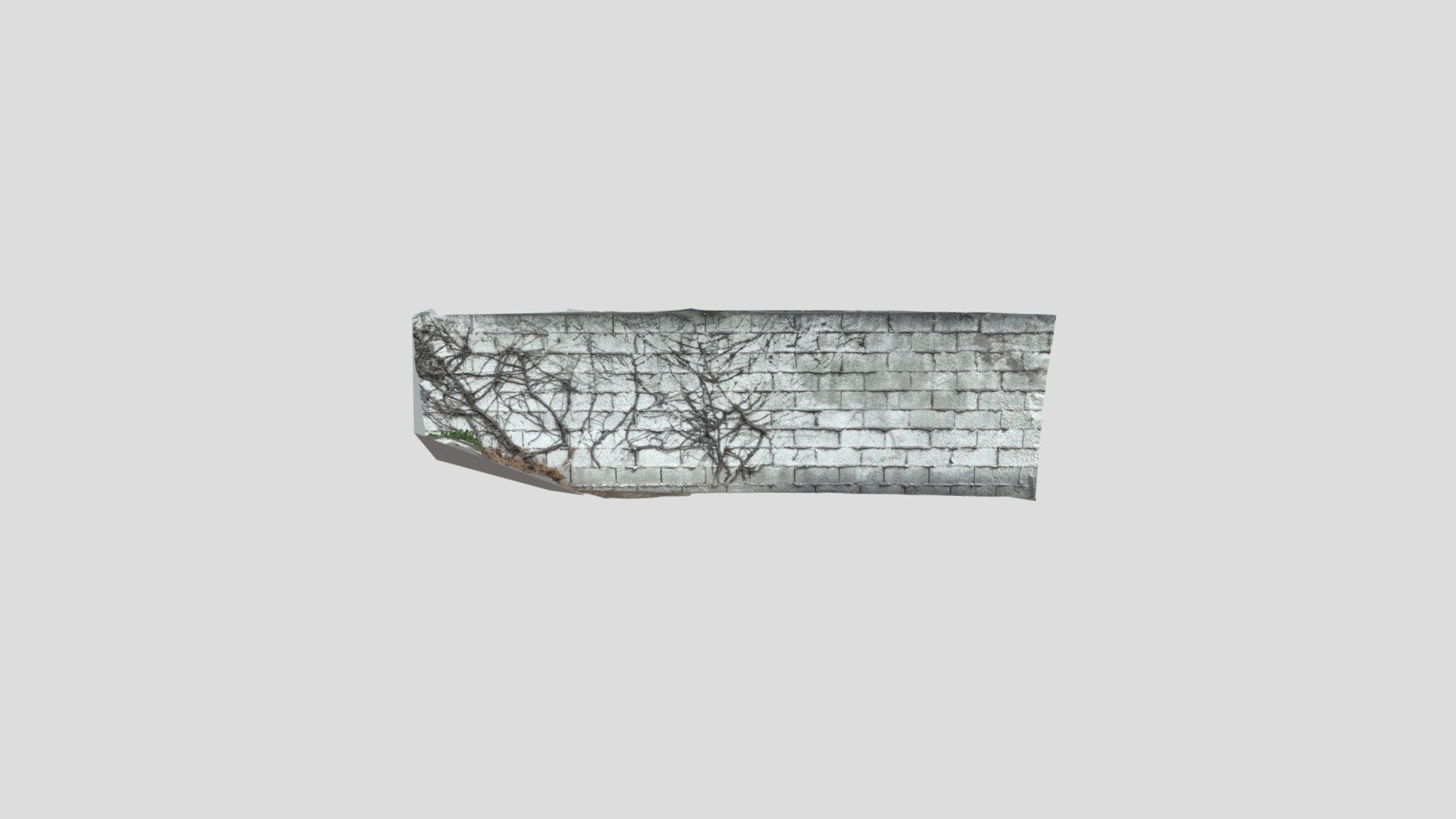 Wall Vines - Sample 3