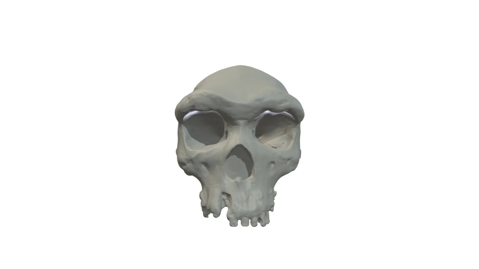 Specimen A5