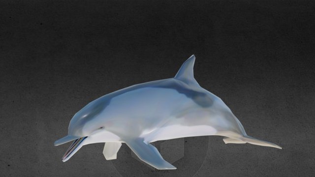 Dolphin for Second Life 3D Model