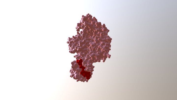 NS3 (helicase & protease) of dengue virus 3D Model