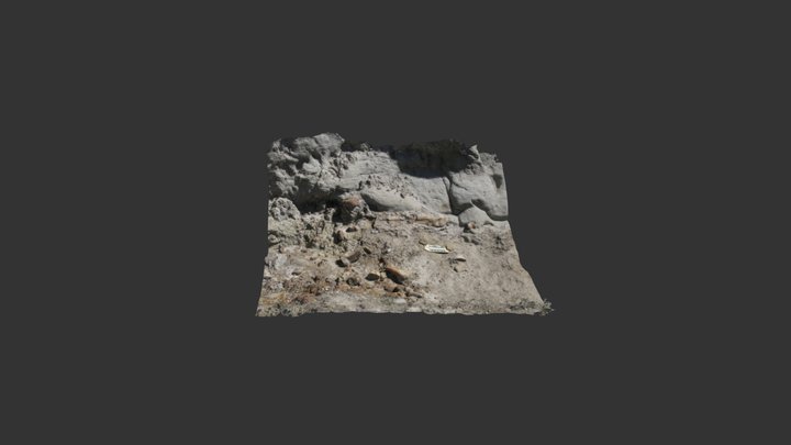 BDM 2017 3D Model