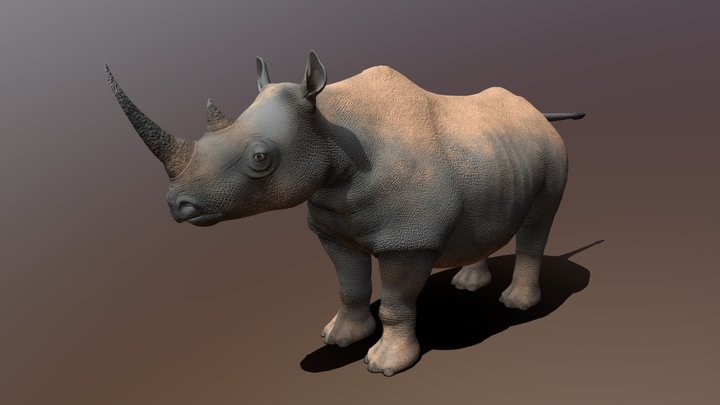 Rhino Textured 3D Model