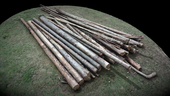 Poland, Zakopane,  pile of wood.