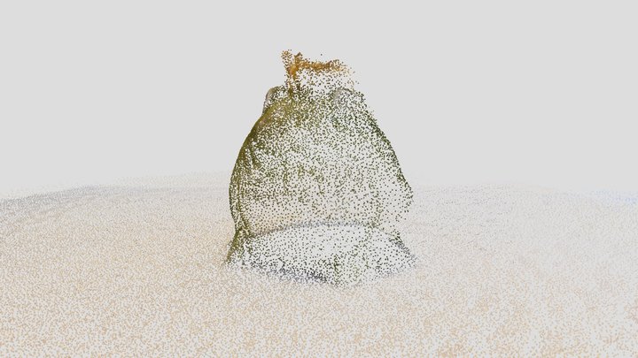 Froggy Bank_Capture 3D Model