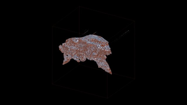 Dino 3D Model