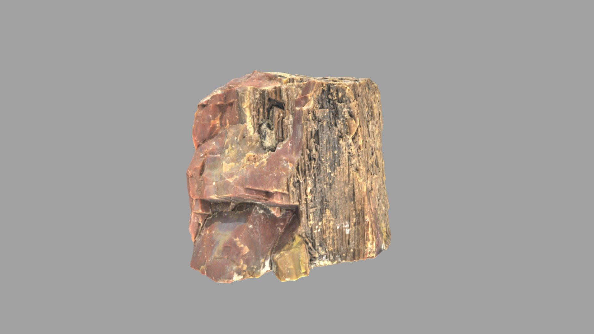 Petrified Wood Rock