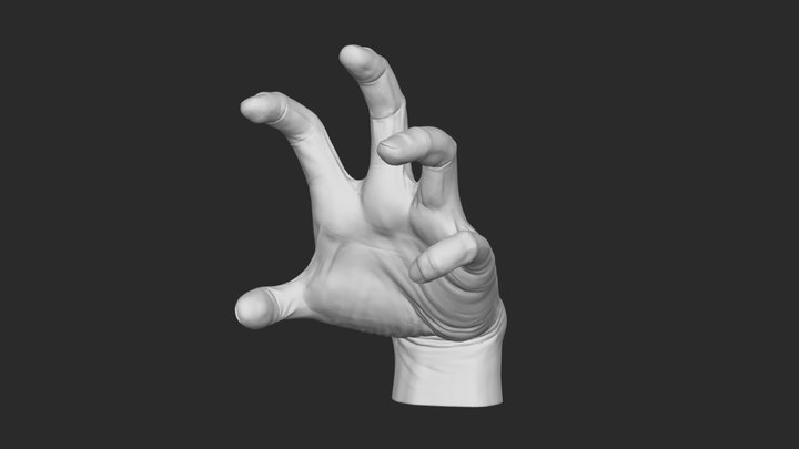 Hand anatomy 3D Model