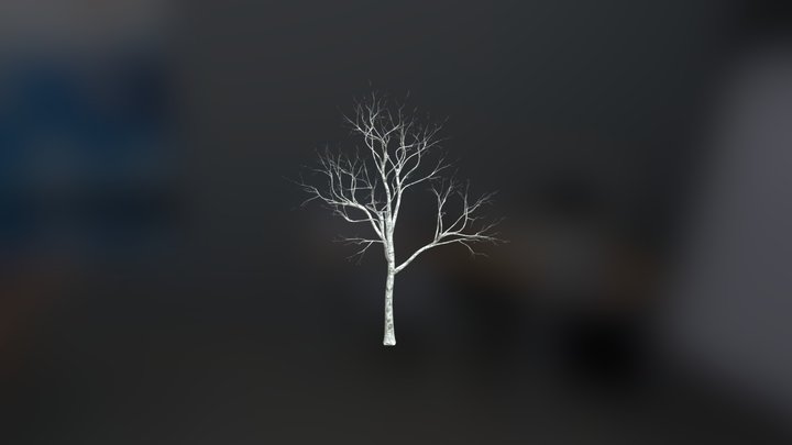 Tree Without Leaves 03