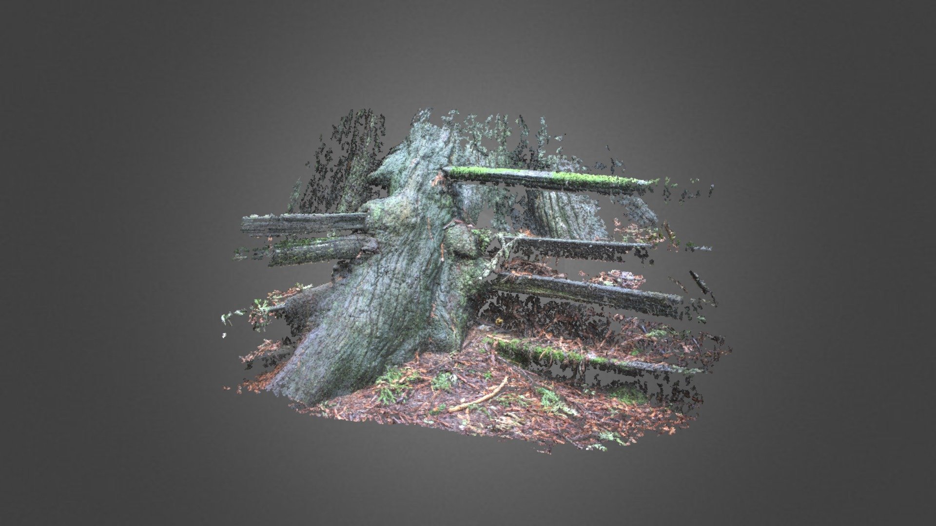 Treefencetest 0