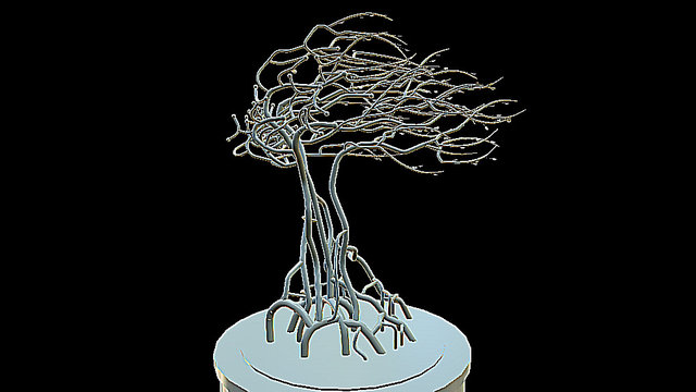 Windy Tree 3D Model