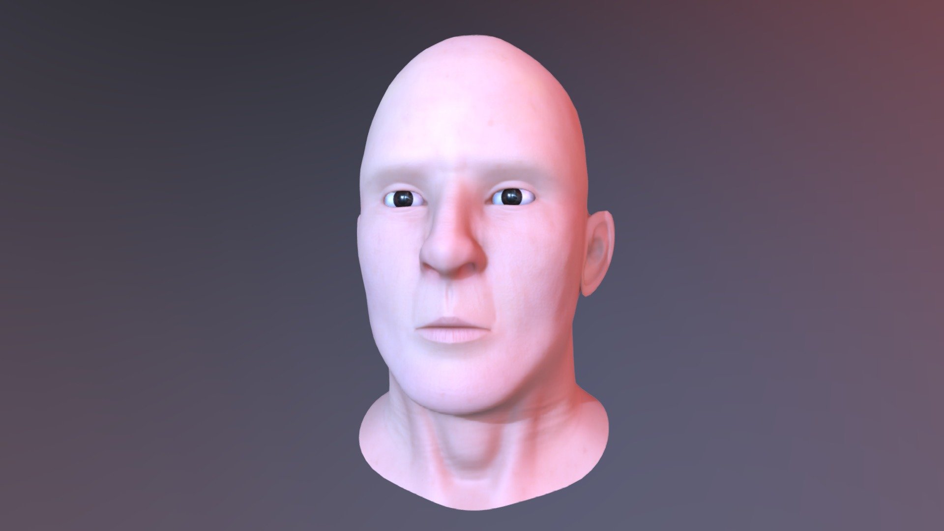 Human Head Practice 3d Model By Bukachell Adaef80 Sketchfab