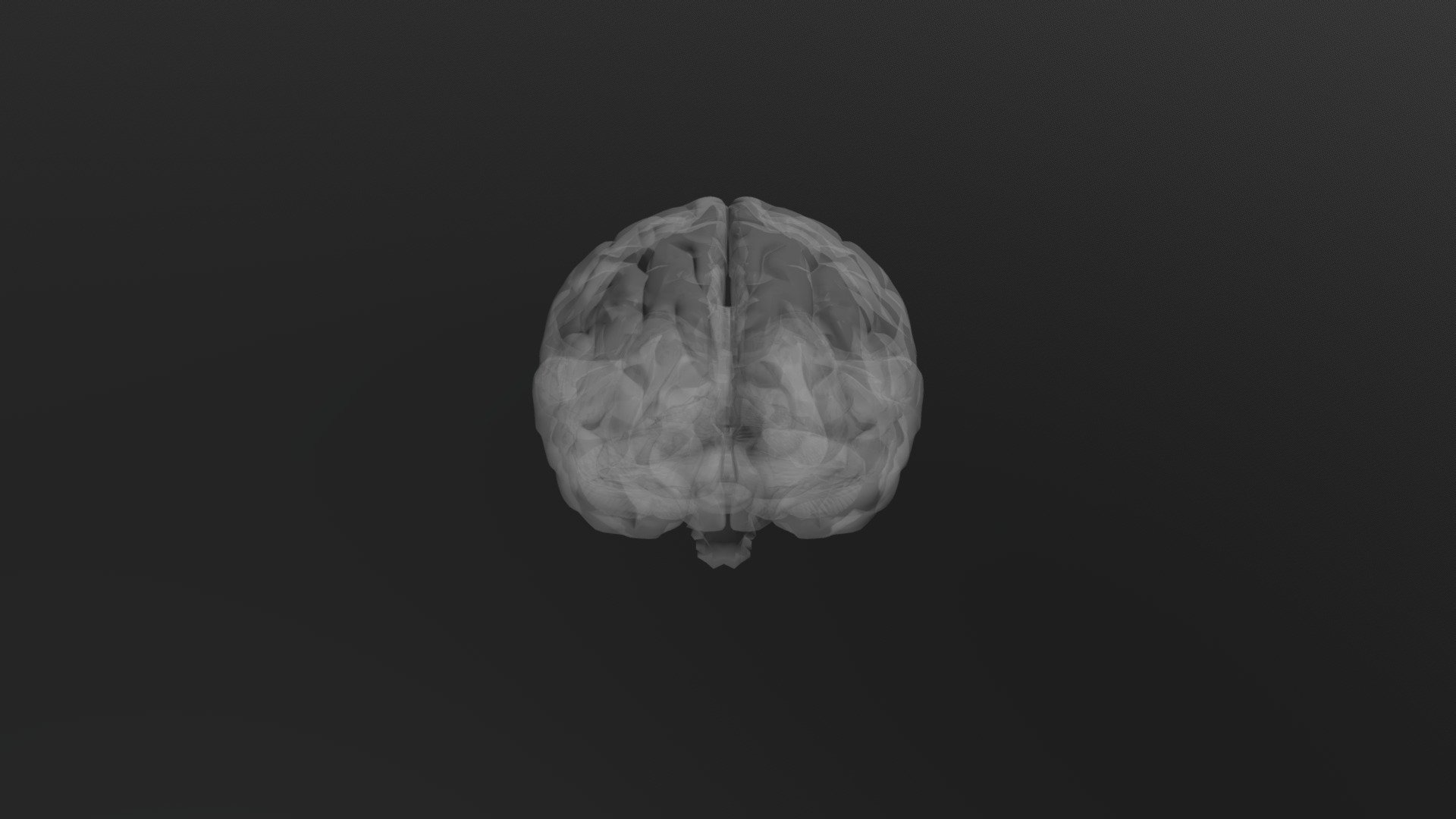 Brain Model