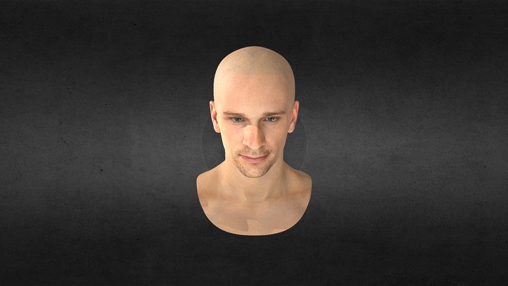 Head + Facial rigg 3D Model