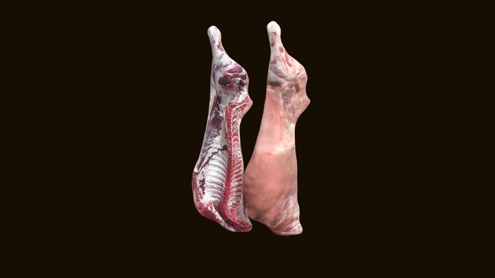 Lamb in carcass 3D Model