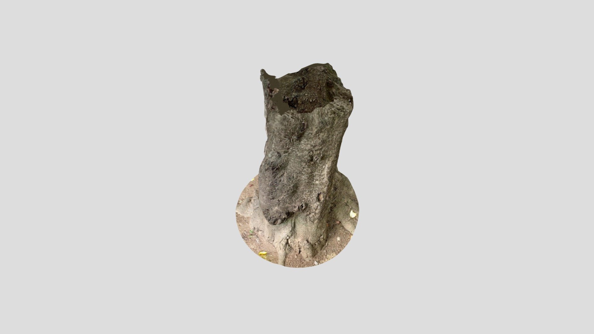 tree10