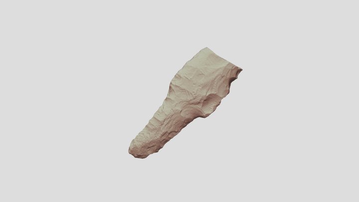 A154 Cougar Mountain Projectile Point 3D Model