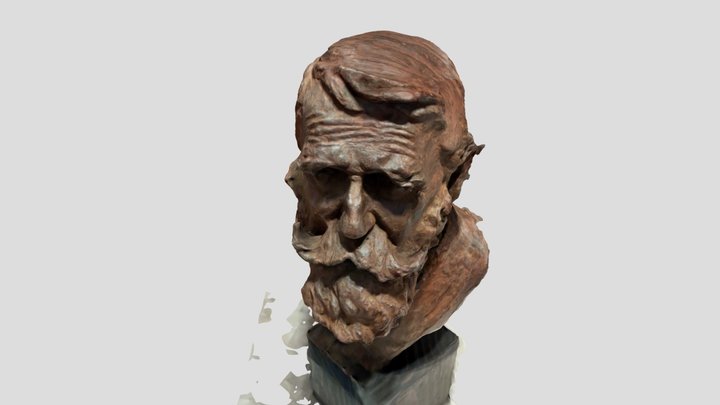 Wood carved bust of bearded man 3D Model