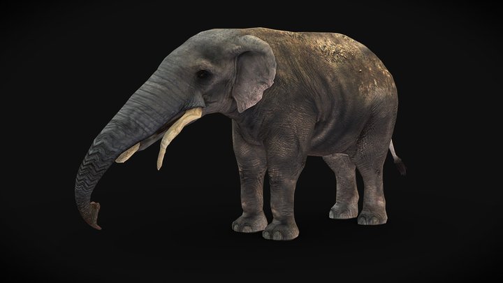 Frozen Undead Mammoth - Tjornir, 3D models download