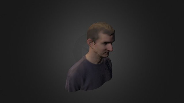 Don Park 3D Model