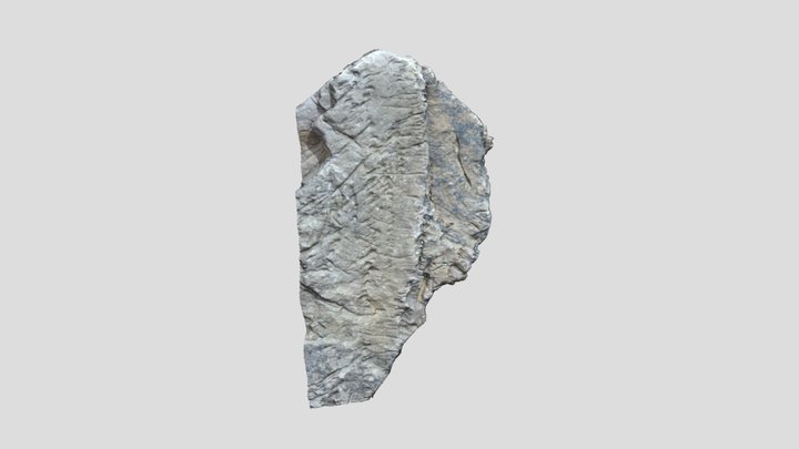 boulder with linear depressions 3D Model