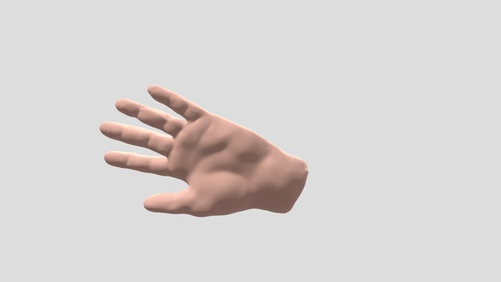 Hand 3D Model
